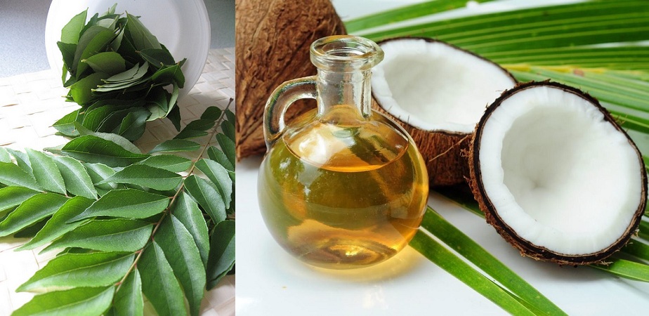 Curry-Leaves-Coconut-Oil-Mix-For-Black-Hair