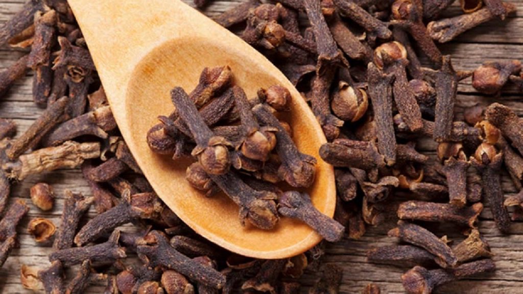 clove - Health Tips for Tooth ache