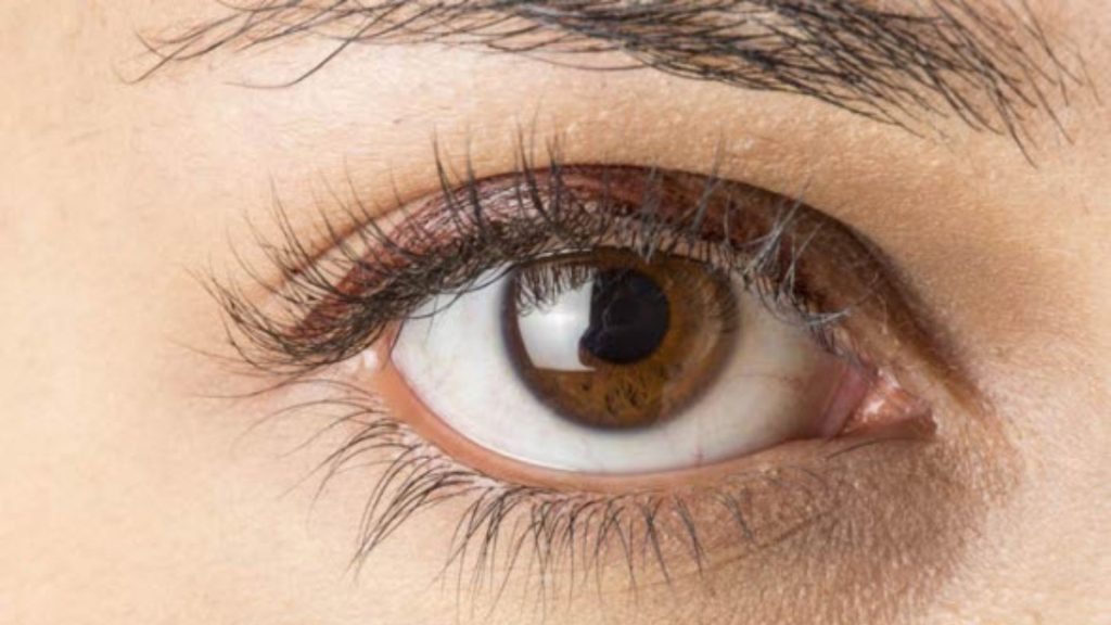 health - health tips for Human Eye