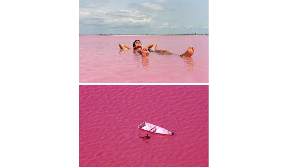 pink lake 