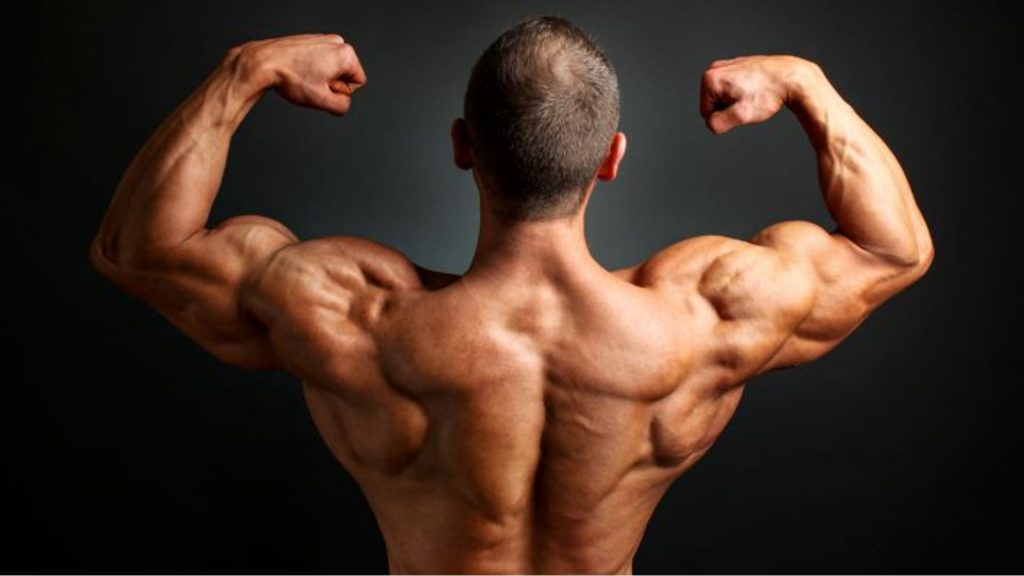 Tips For Body Building