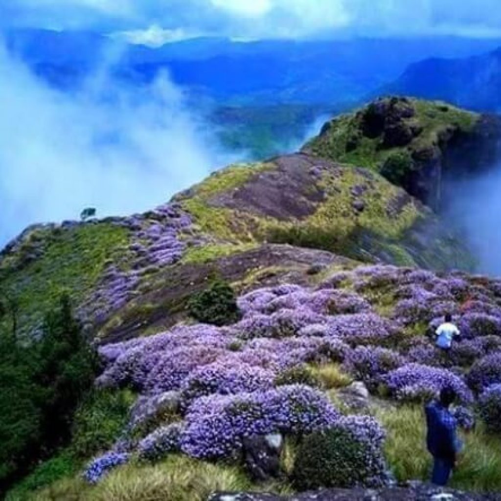 Facts about nilgiri hills