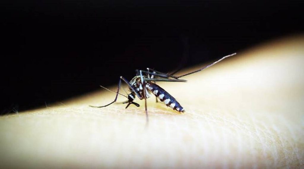 Zika virus in Karnataka