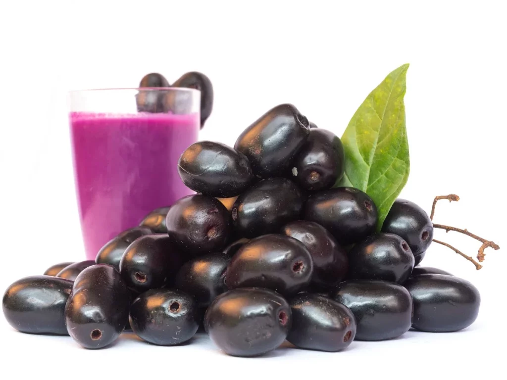Jamun Fruit Health Benefits