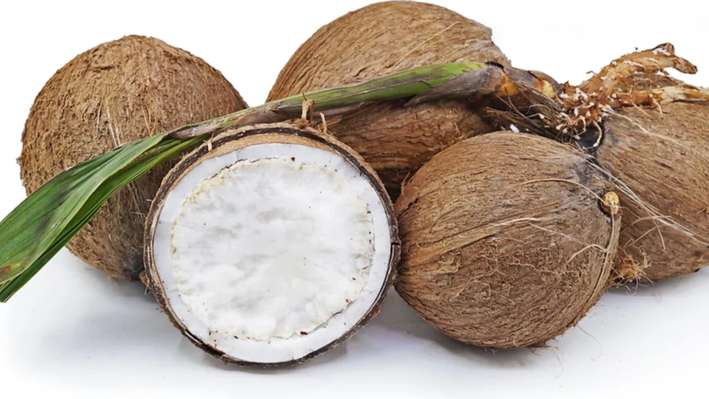 benefits of coconut sprouts