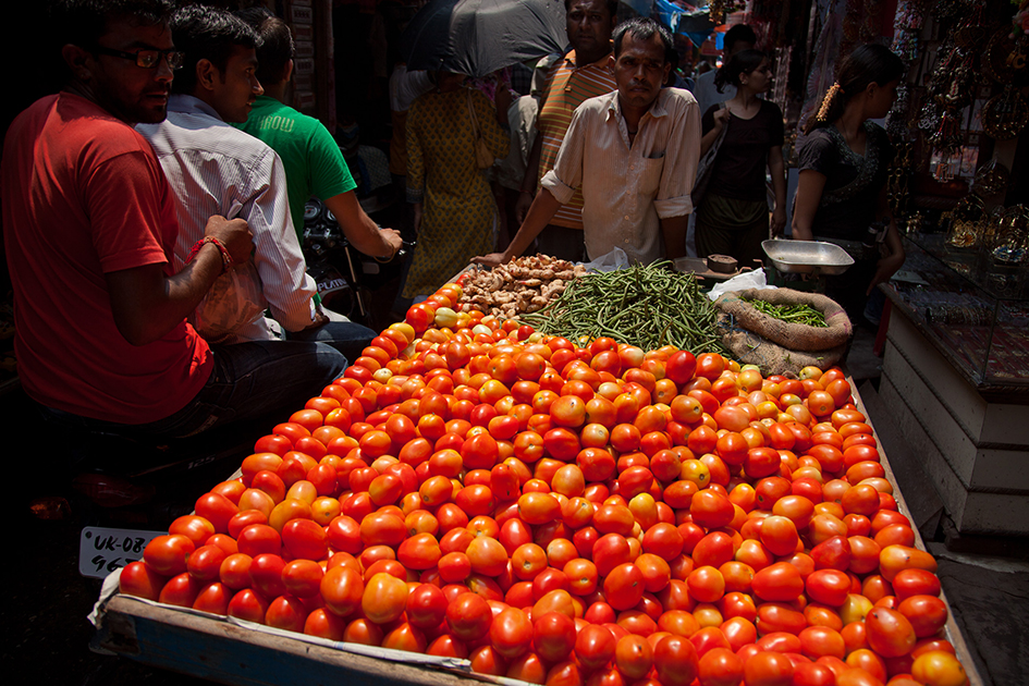tomatoes price overtaking gold