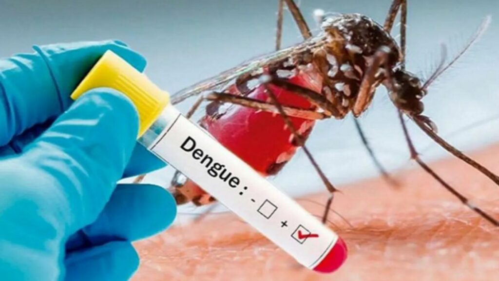Increase in dengue cases