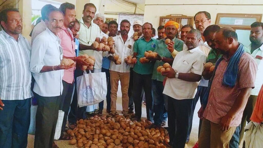 APMC officials about coconuts