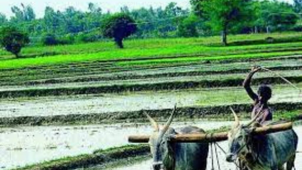 suicide farmers wives pension