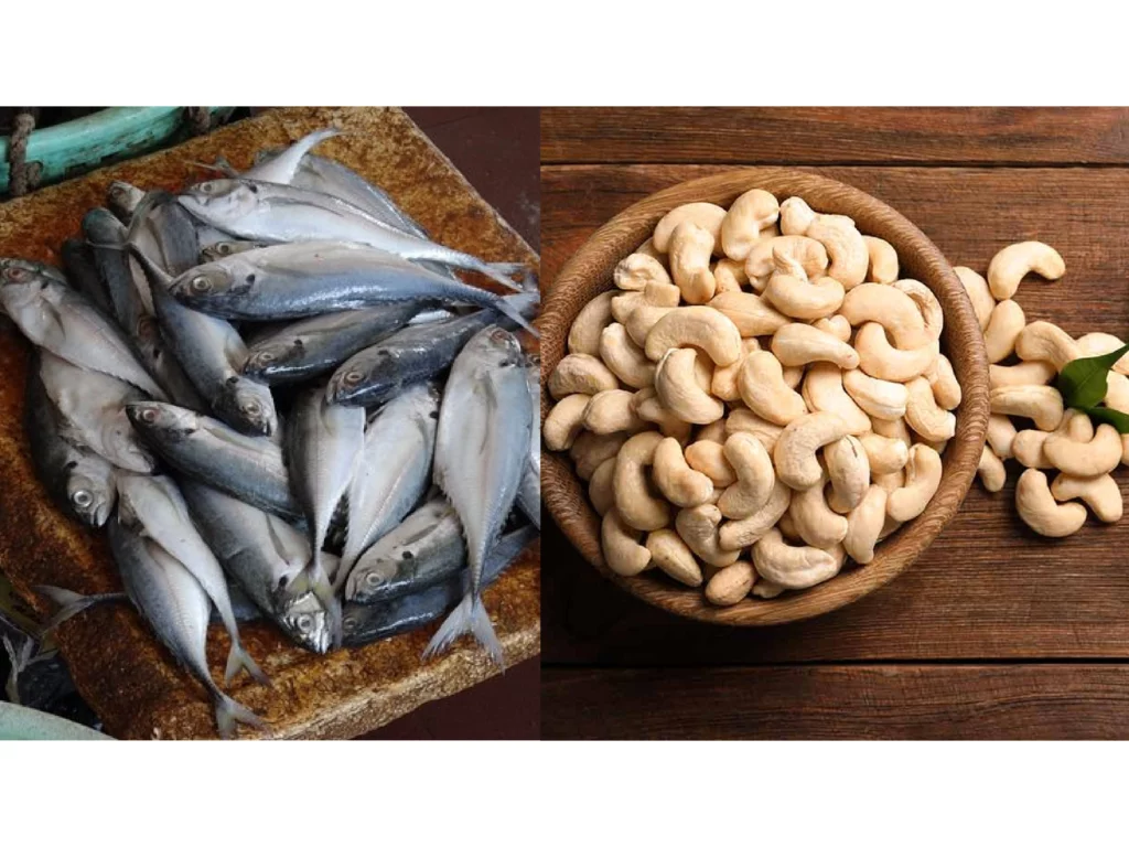 increase export fish cashew
