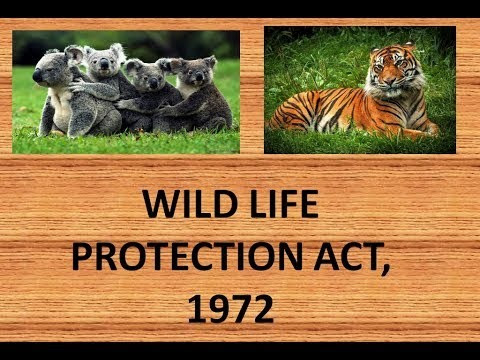 Wildlife Act