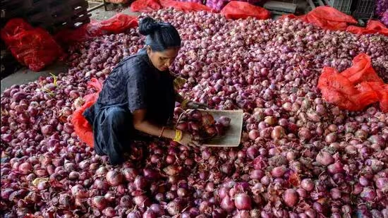 Onion Discount Sale - Central Govt