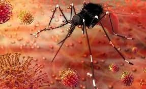Zika Virus Alert - Dinesh Gundu Rao
