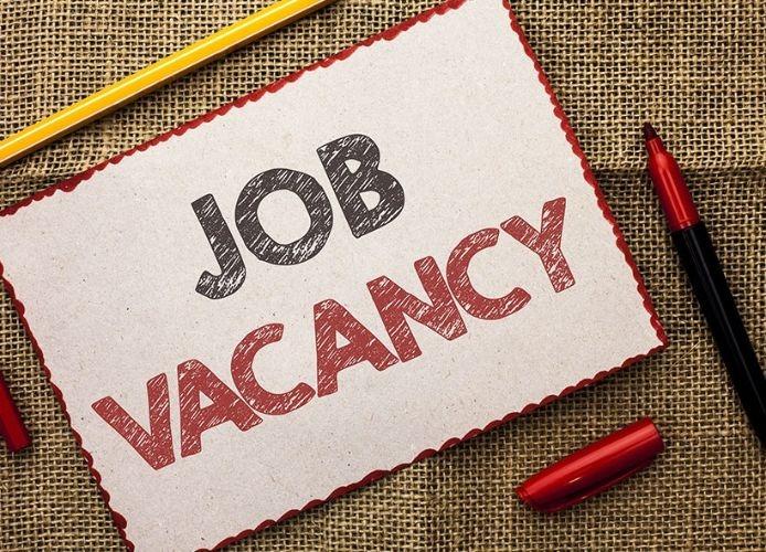 Job Vacancy in NIN 2023