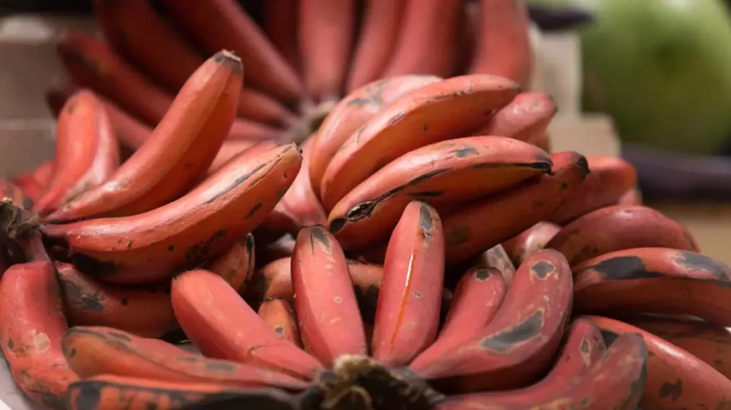 Red Banana Health Benefits