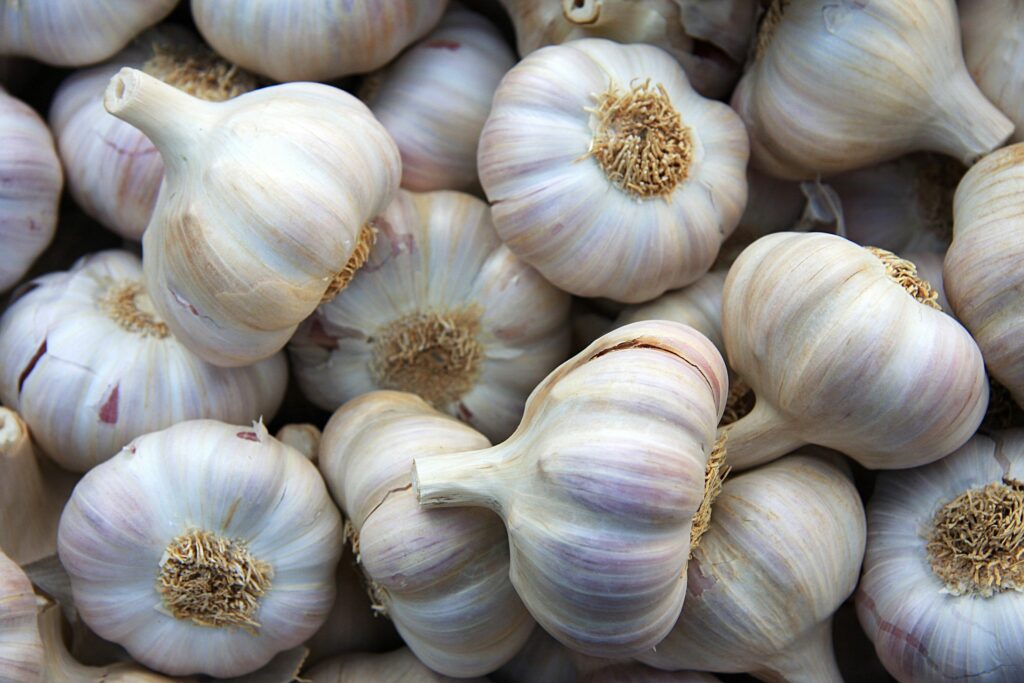 Increased Garlic price